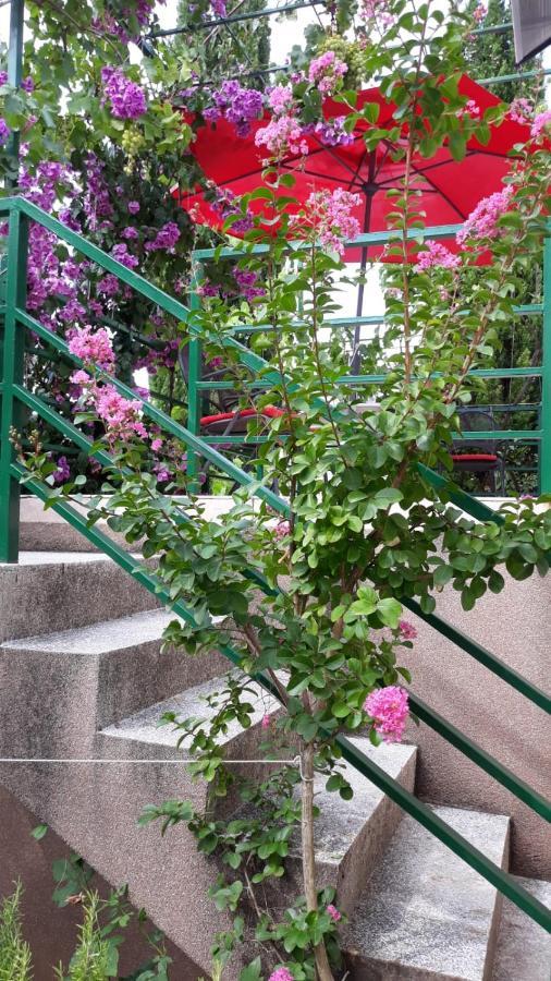 Mt Villa Posedarje